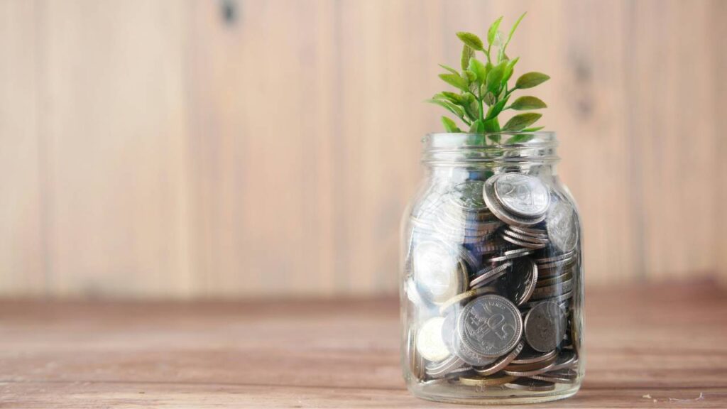 A jar with silver coins and a green plant