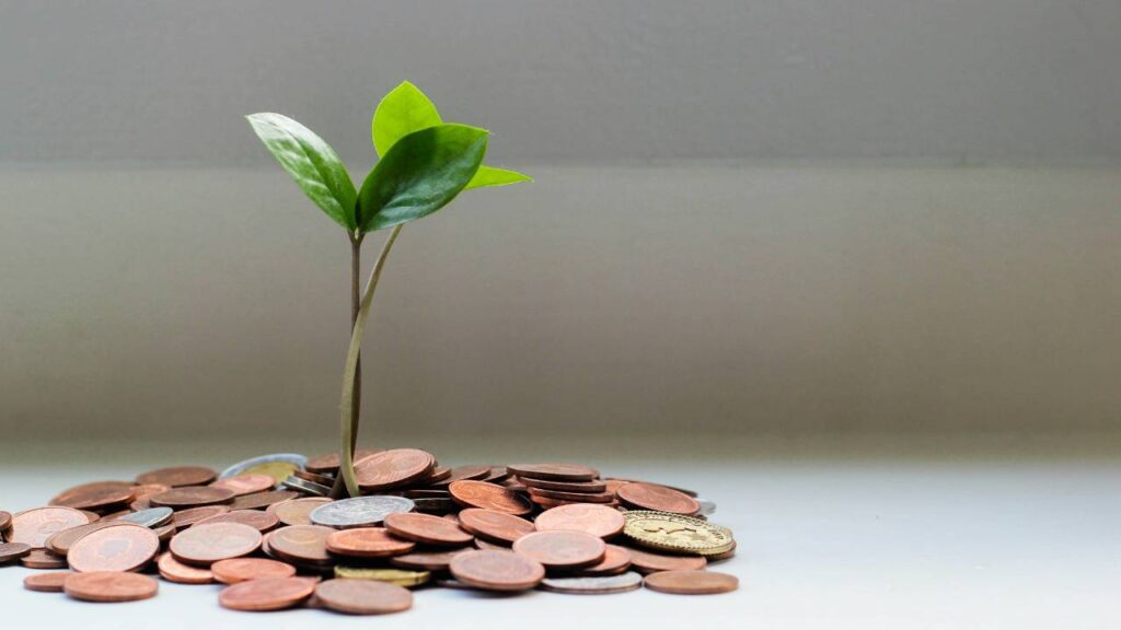 A plant growing for a heap of coins